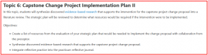 Topic 6: Capstone Change Project Implementation Plan II